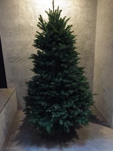 クリスマスツリー｜「フローラ麻布」　（東京都港区の花キューピット加盟店 花屋）のブログ