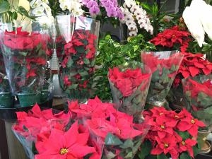 クリスマスおすすめギフト｜「フローラ麻布」　（東京都港区の花キューピット加盟店 花屋）のブログ