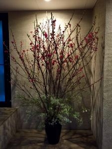 桃の花｜「フローラ麻布」　（東京都港区の花キューピット加盟店 花屋）のブログ
